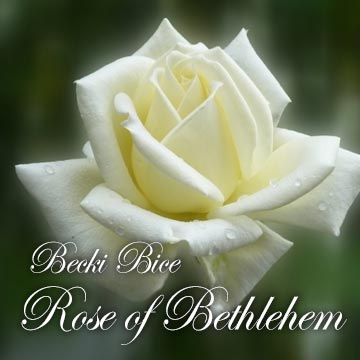 Becki Bice Rose of Bethlehem